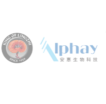行业动态